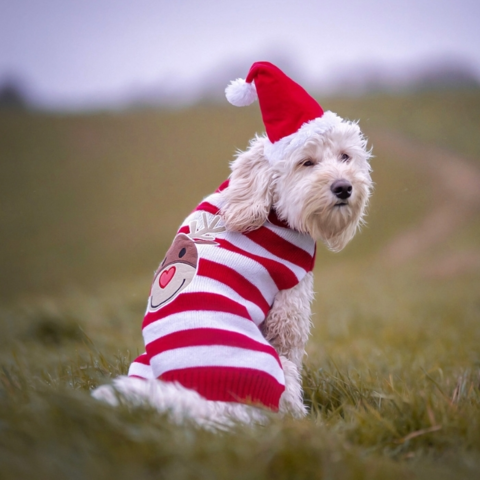 Julesweater m. striber